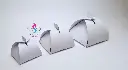 20250211_114247_0000.webp
